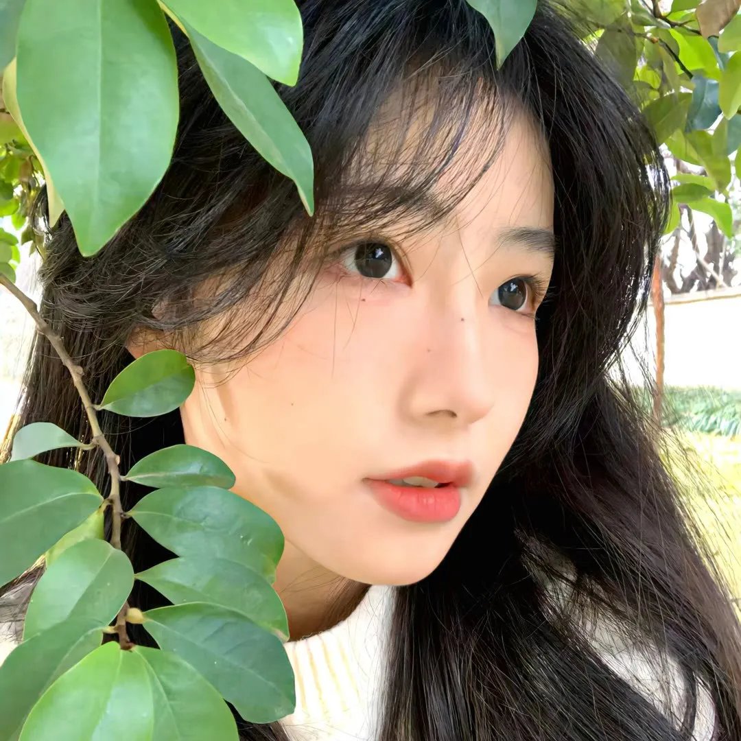 凶月